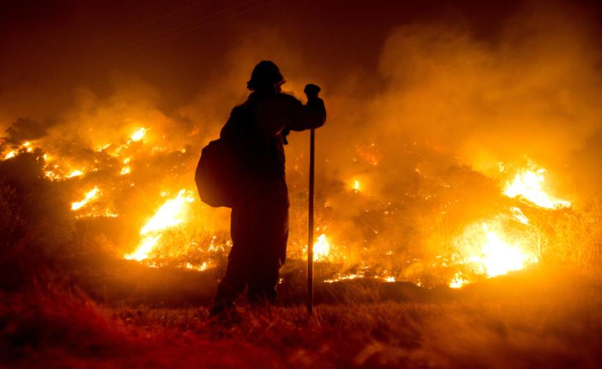 firefighter standing before a forest fire